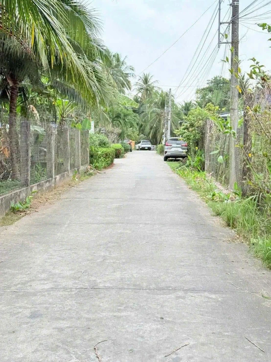 Bán nền mặt tiền 100m² An Hội, Bến Tre, 550 triệu - Ảnh 1