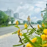 Bán BT đẹp tại Khu đô thị Phú Mỹ An Huế, 14,2 tỷ, Diện tích đất 210 m2, view đẹp - Ảnh thu nhỏ 18