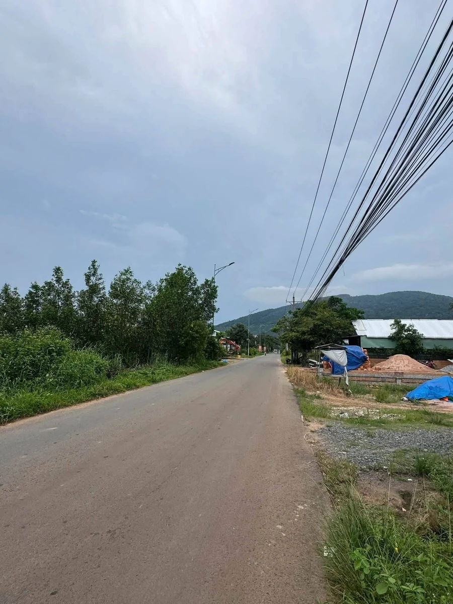 Bán đất mặt tiền Cây Điệp Xuân Lộc Đồng Nai 19x68m - Ảnh thu nhỏ 5