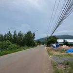 Bán đất mặt tiền Cây Điệp Xuân Lộc Đồng Nai 19x68m - Ảnh thu nhỏ 5