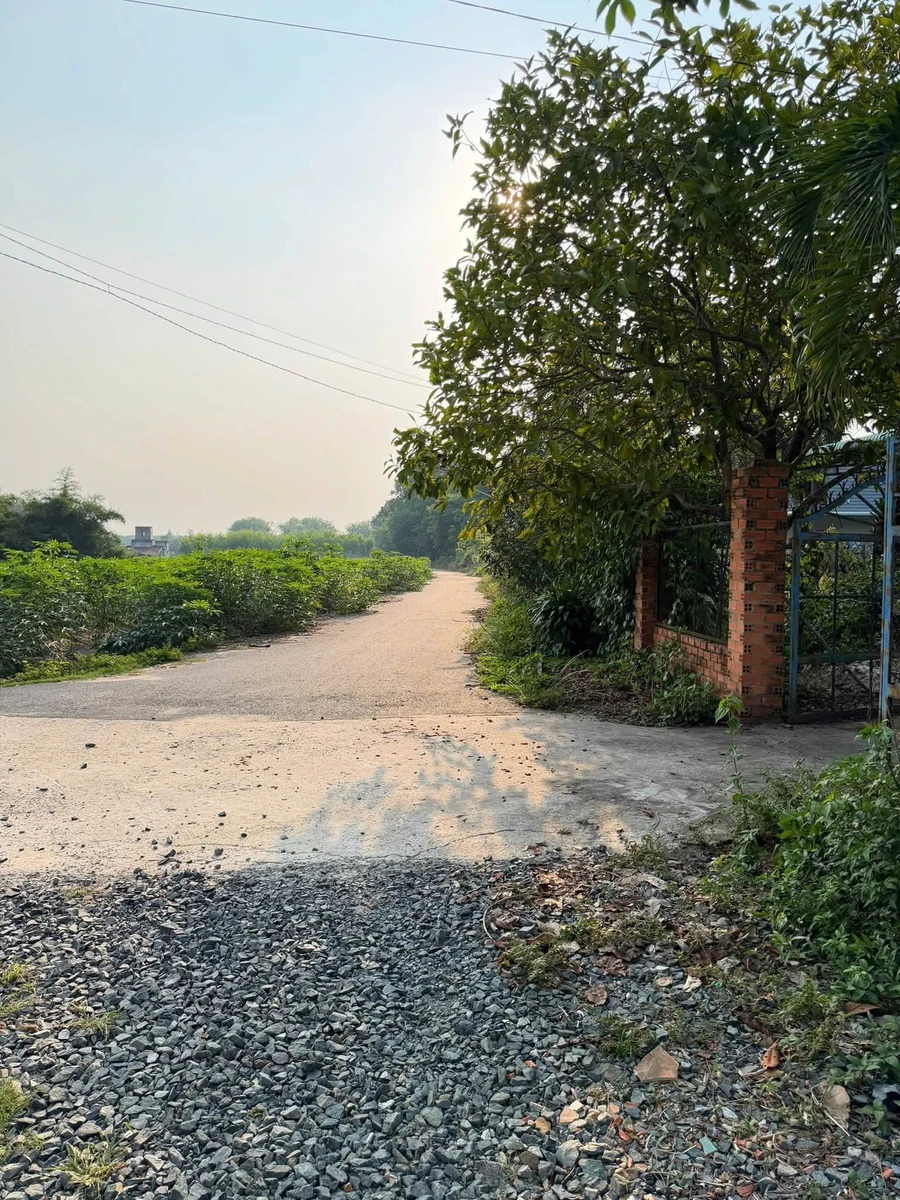 Bán đất 279m2 gần chợ Minh Long, Chơn Thành, Bình Phước, 350 triệu - Ảnh thu nhỏ 2
