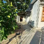 Bán nhà cấp 4 197,8m² đất thổ cư Phú Yên 650 triệu - Ảnh thu nhỏ 5
