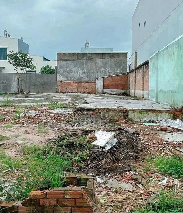 Bán lô đất biệt thự 160m2 Tam Hiệp, Đồng Nai - Ảnh thu nhỏ 4