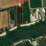 Bán đất lúa 1250m² Đức Hoà Tây Ninh 5 tỷ - Ảnh thu nhỏ 3