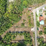 Bán khu nội bộ, cổng riêng, lối đi riêng, thích hợp xây dựng nhà ở - Ảnh thu nhỏ 3