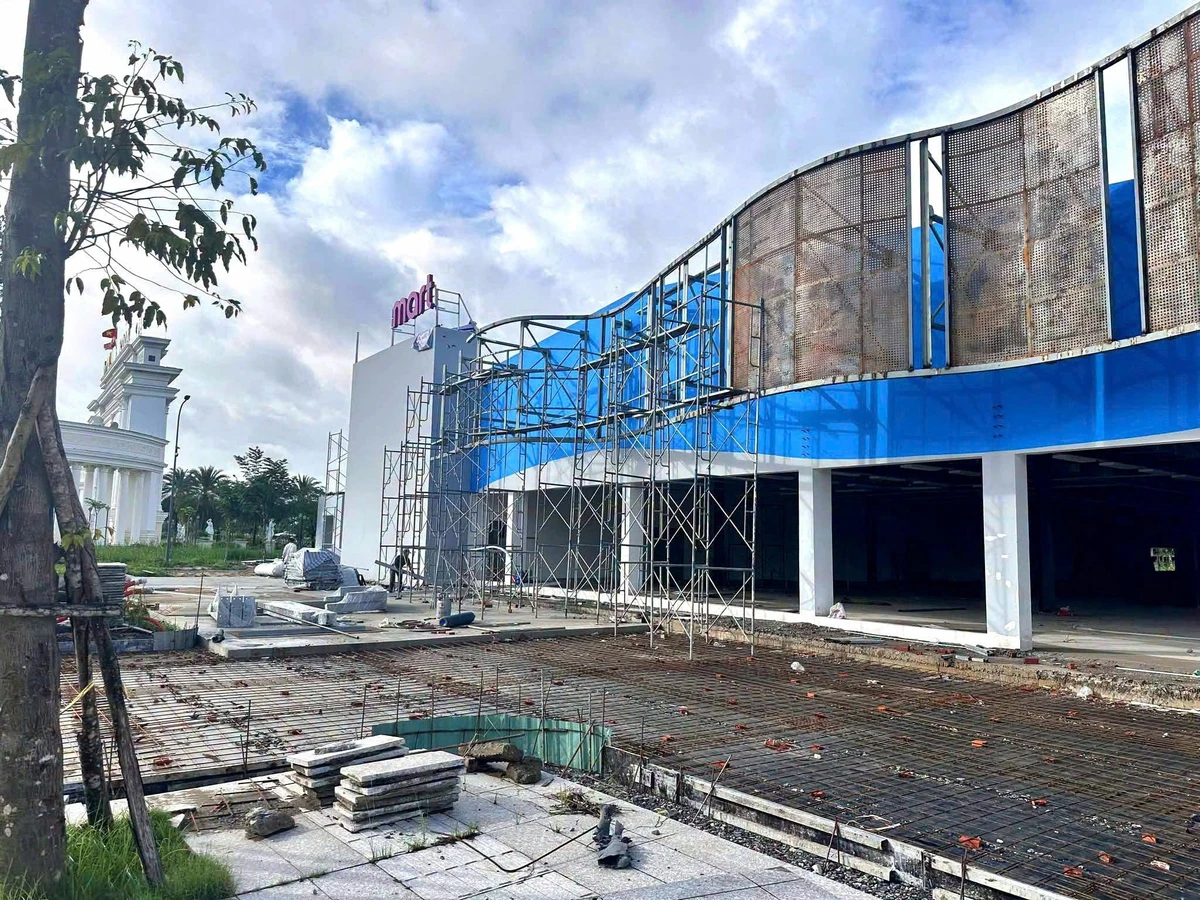 Bán lô đất 100m2 mặt tiền 15m Thủ Thừa 1 tỷ 150 - Ảnh thu nhỏ 3
