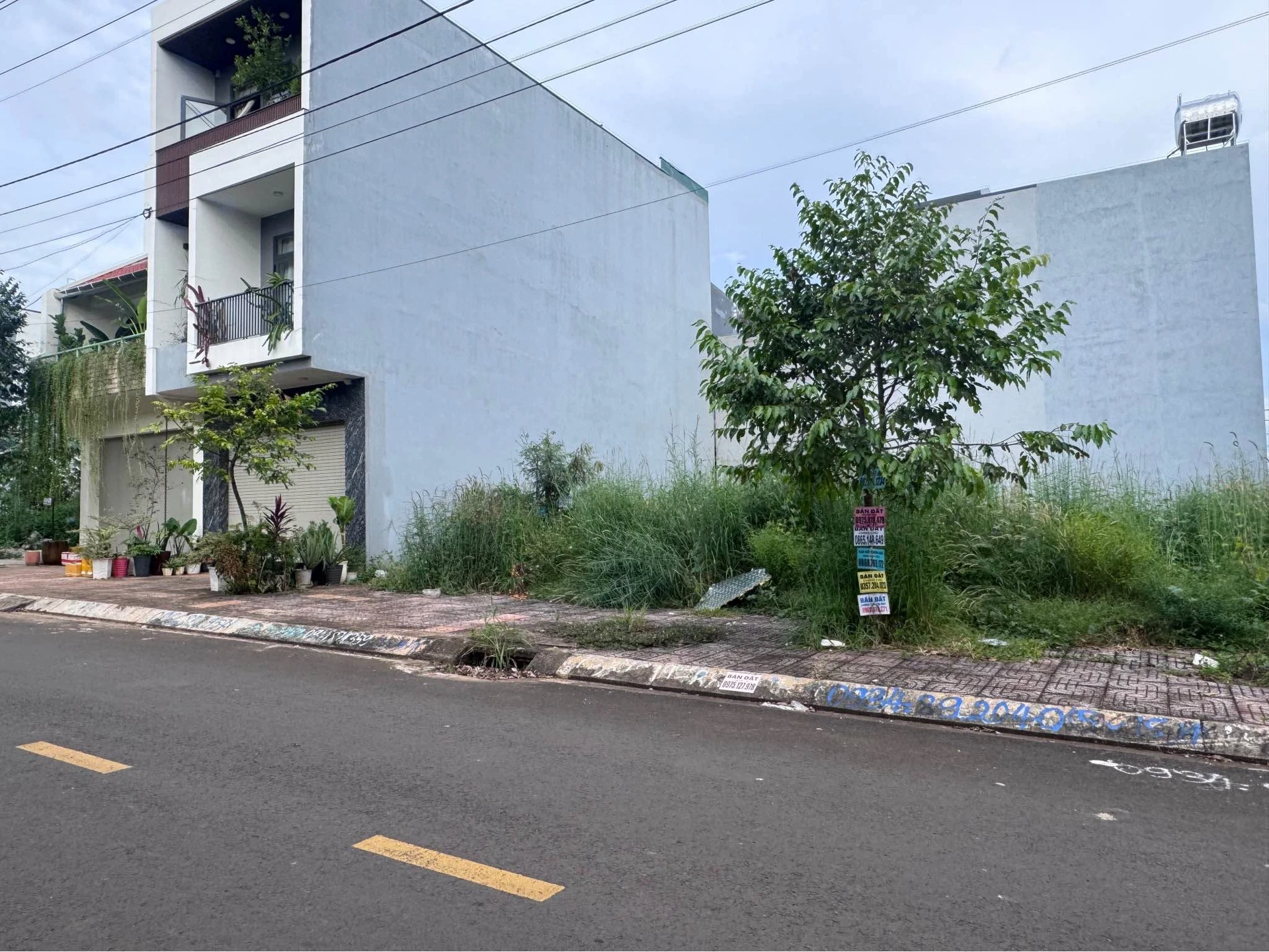 Bán đất mặt tiền Trương Quang Tuân 75m² 4 tỷ 290 Bình Chánh - Ảnh 1