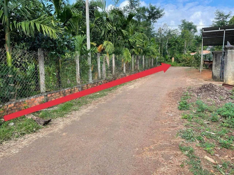 Bán đất mặt tiền Ea Ning, Cư Kuin, 60m² chỉ 175 triệu