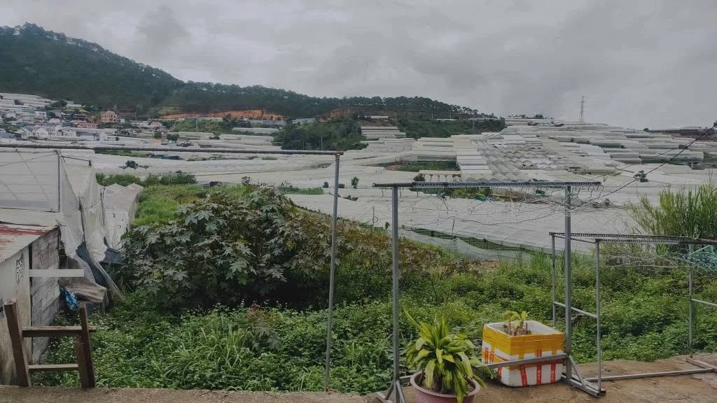 Bán đất 61m2 đường ô tô, sau trạm y tế Thái Phiên - Ảnh thu nhỏ 2