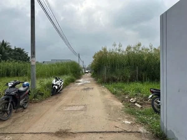 Bán 2 nền đất liền kề 300m² thổ cư tại xã Hữu Định, Bến Tre - Ảnh thu nhỏ 4