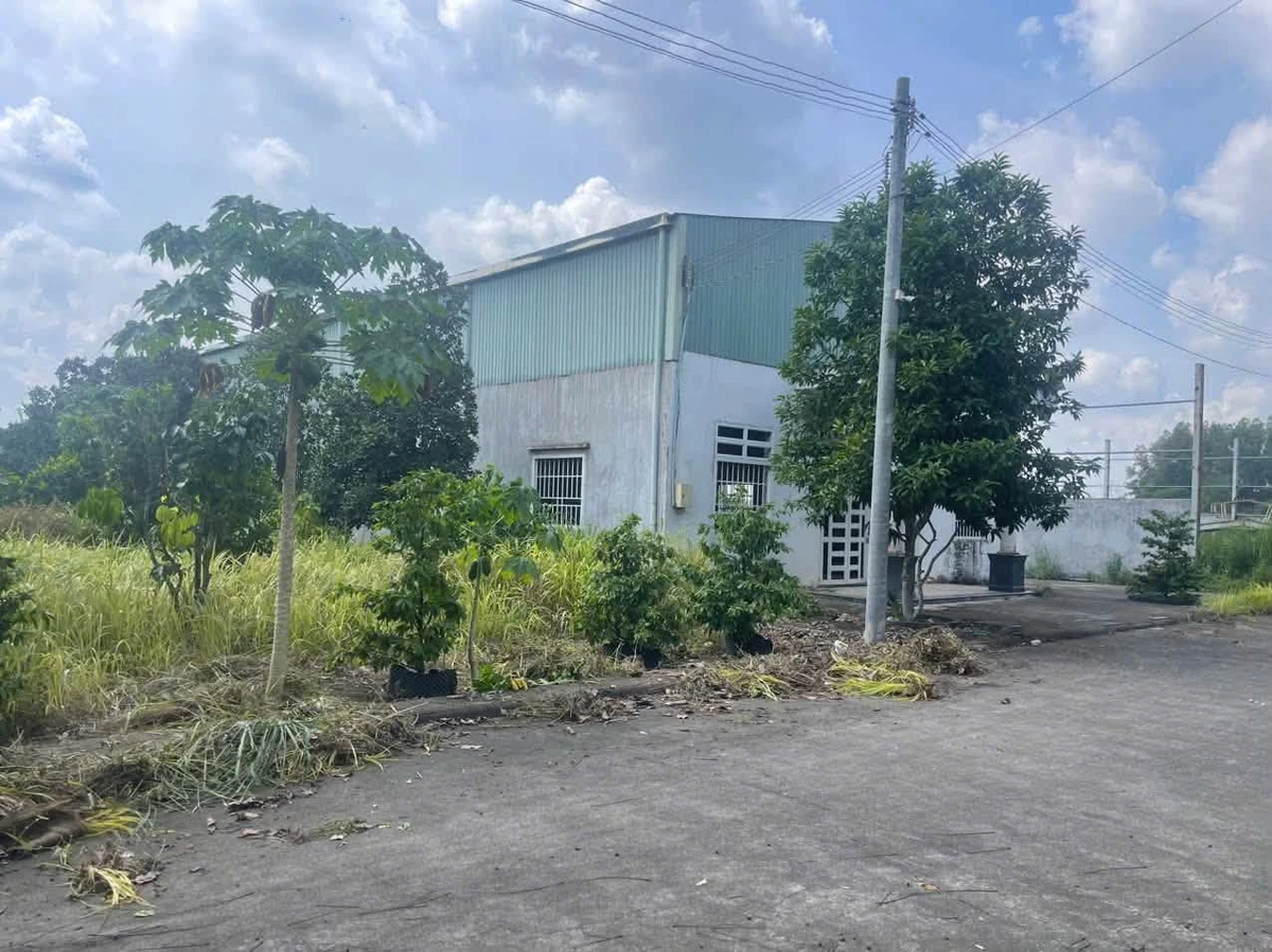 Cho thuê xưởng 550m2 trên đất 9000m2 tại Tam Phước, Đồng Nai giá 35 triệu/tháng - Ảnh thu nhỏ 2