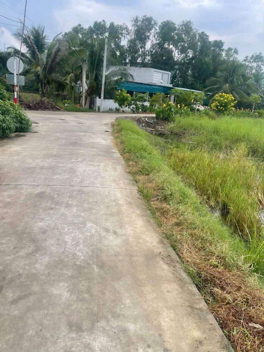 Bán 1000m² đất lúa chuyển đổi thổ cư Bến Lức, Long An - Ảnh 1