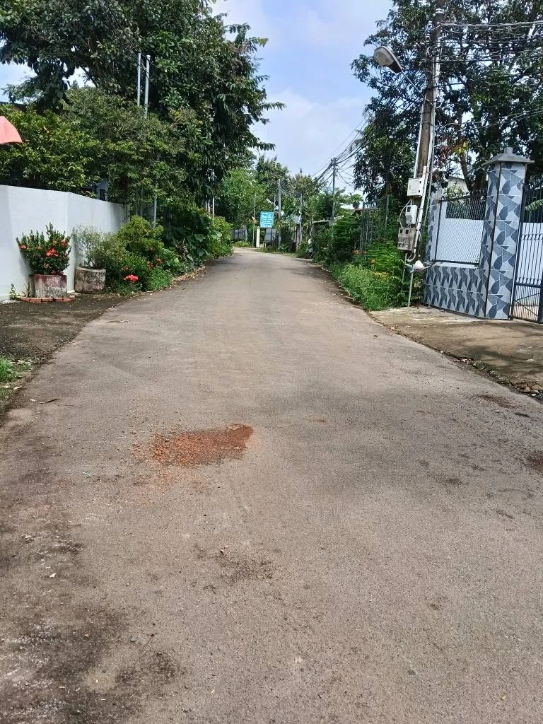 Bán đất nền Bàu Hàm 100m² sổ riêng gần Nguyễn Hoàng - Ảnh thu nhỏ 5