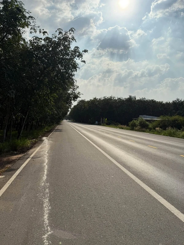 Bán đất 1 hectare mặt tiền Bến Cát, Bình Dương