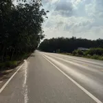 Bán đất 1 hectare mặt tiền Bến Cát, Bình Dương - Ảnh thu nhỏ 1