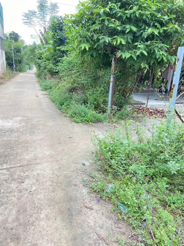 Bán đất Minh Hưng 100m² 830 triệu
