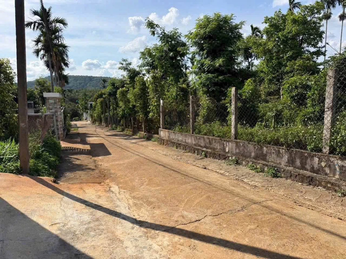 Bán đất 131m² gần sân bay Buôn Ma Thuột 750 triệu - Ảnh thu nhỏ 2