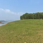 Bán quả đảo tròn trịa đẹp ở hồ Thác Bà 1,6ha giá 2,2 tỷ - Ảnh thu nhỏ 4