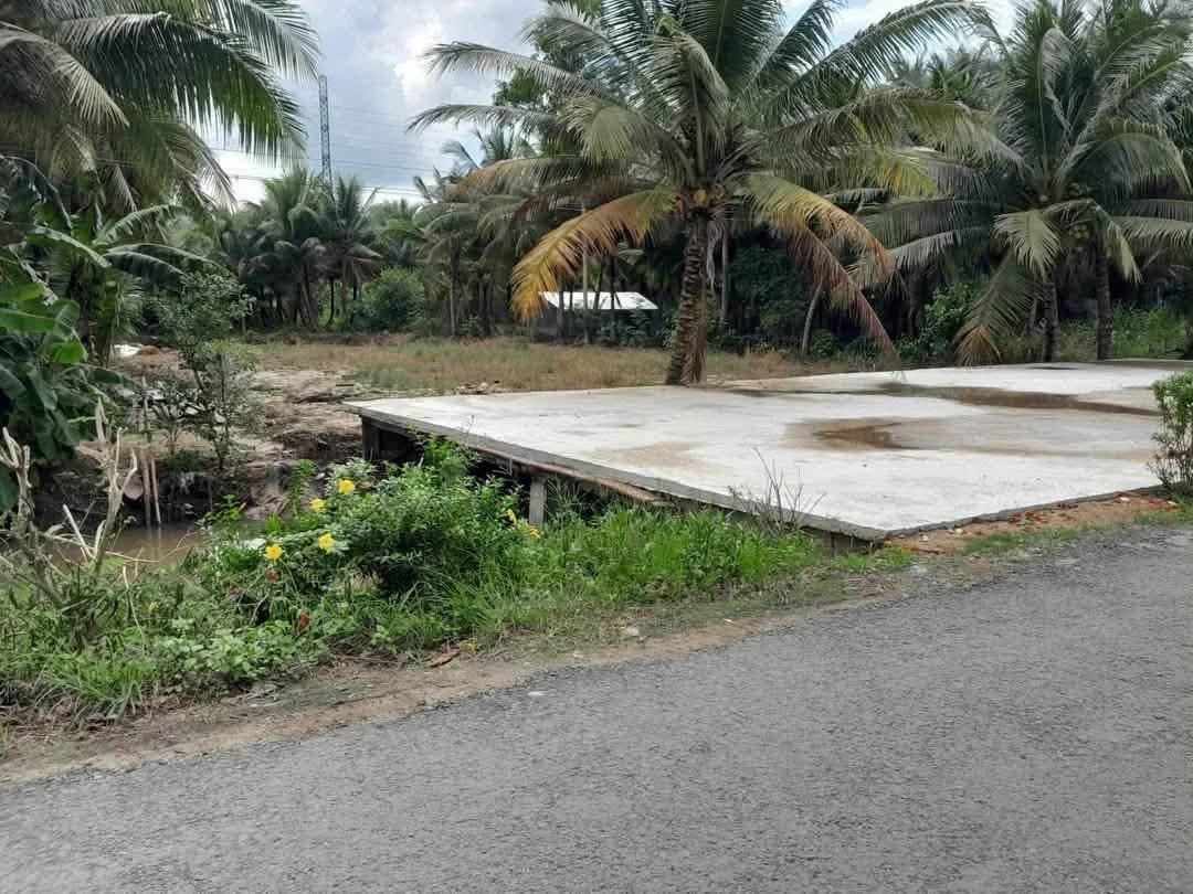 Bán đất nền 20x54m mặt tiền Huyện lộ 8, Cầu Kè, Vĩnh Long 1.5 tỷ - Ảnh thu nhỏ 3
