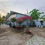 Bán đất + nhà + vườn dừa + ao 760m² Huỳnh Tấn Phát Bến Tre 3 tỷ - Ảnh thu nhỏ 1