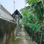 Bán đất Phú Tân 671m2 có thổ cư 3tr/m2 - Ảnh thu nhỏ 2