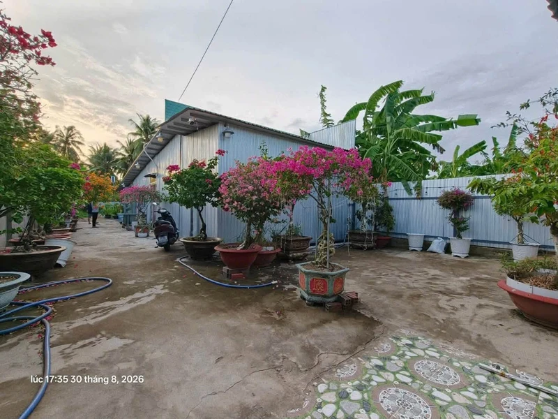 Bán nhà 1 phòng ngủ 760m2 mặt tiền Huỳnh Tấn Phát, Bến Tre