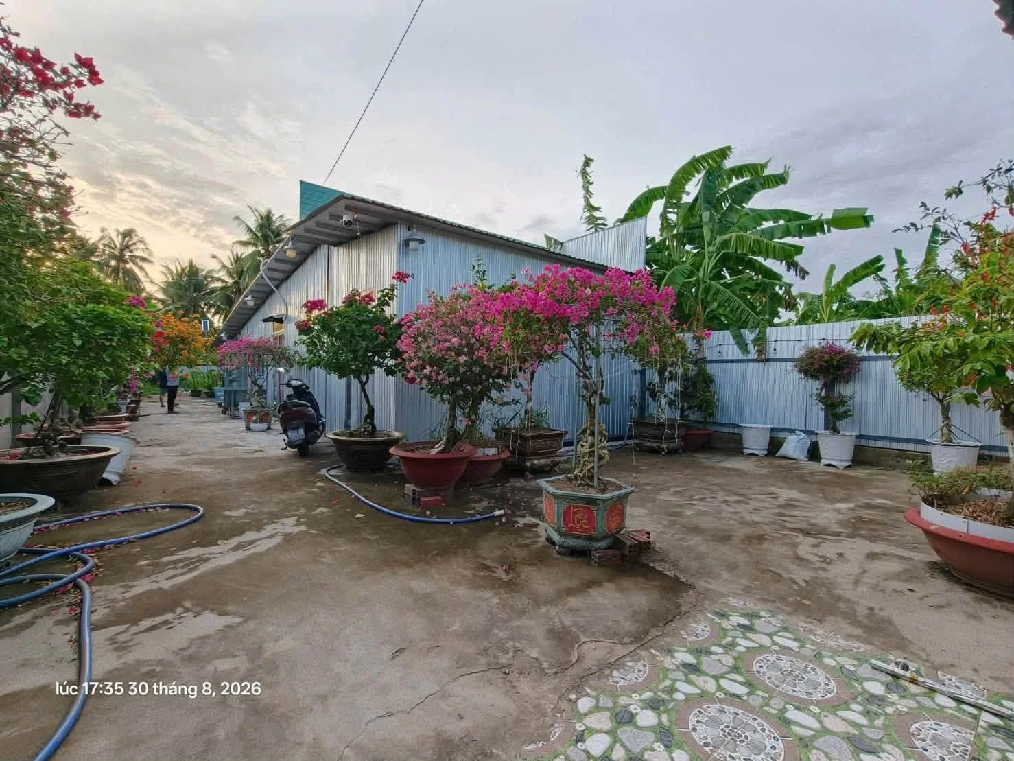 Bán nhà 1 phòng ngủ 760m2 mặt tiền Huỳnh Tấn Phát, Bến Tre - Ảnh 1