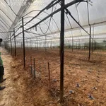 Bán 5.650m² đất trại mát Đà Lạt, 6 tỷ 100, mặt tiền 180m - Ảnh thu nhỏ 2