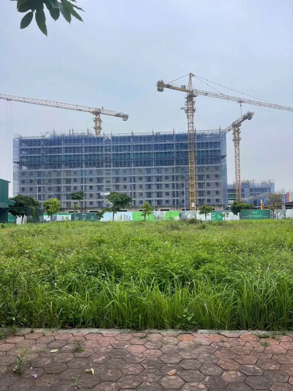 Bán lô đất 90m2 Đường Bằng Lăng 1, Hải Dương
