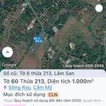 Bán đất 1000 m² Cẩm Mỹ Đồng Nai giá 6 tỷ sổ hồng - Ảnh thu nhỏ 3