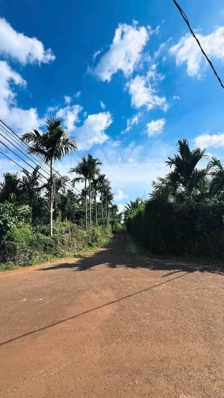 Bán đất nông nghiệp vườn cà phê 4,2 sào tại Buôn Kom Leo, Đắk Lắk