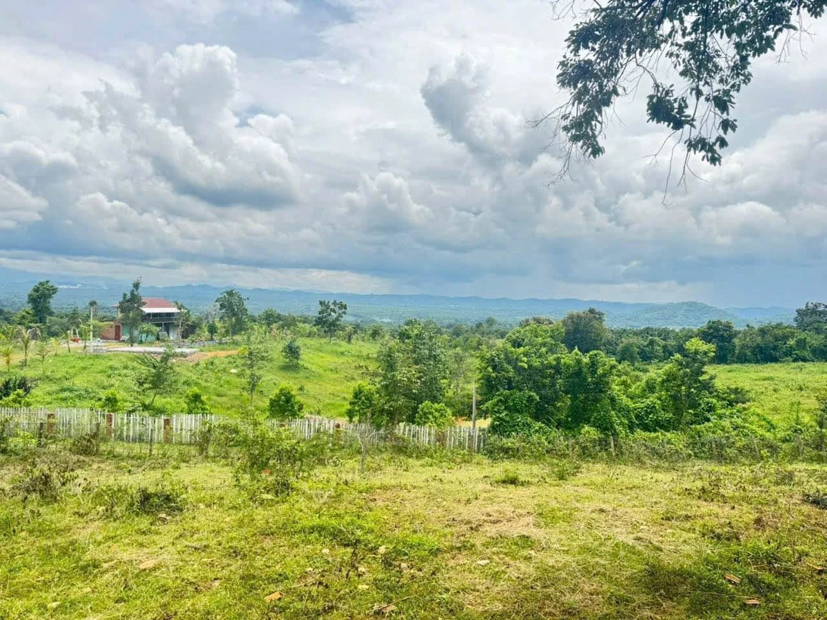 Bán đất nông nghiệp 2ha Eakao, Buôn Ma Thuột, 400 triệu/sào - Ảnh thu nhỏ 2