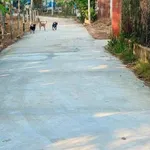 Bán nhà vườn An Điền 1.411m2, giá 4,5 tỷ - Ảnh thu nhỏ 1