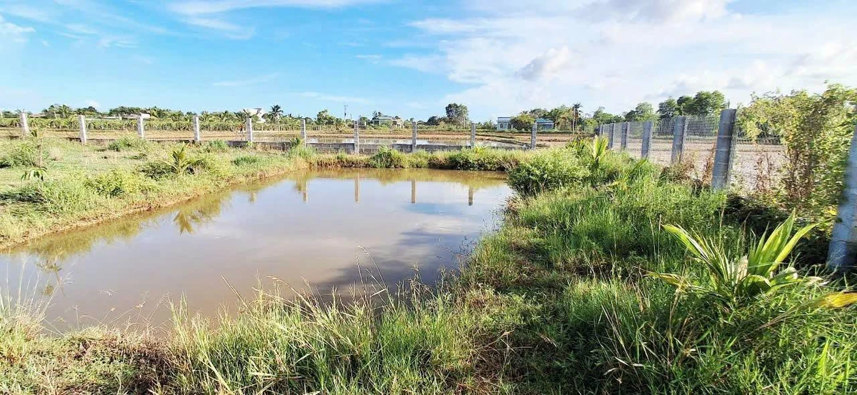 Bán đất 1300m² trồng cây ăn trái Hàm Liêm 850 triệu - Ảnh thu nhỏ 5