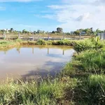 Bán đất 1300m² trồng cây ăn trái Hàm Liêm 850 triệu - Ảnh thu nhỏ 5