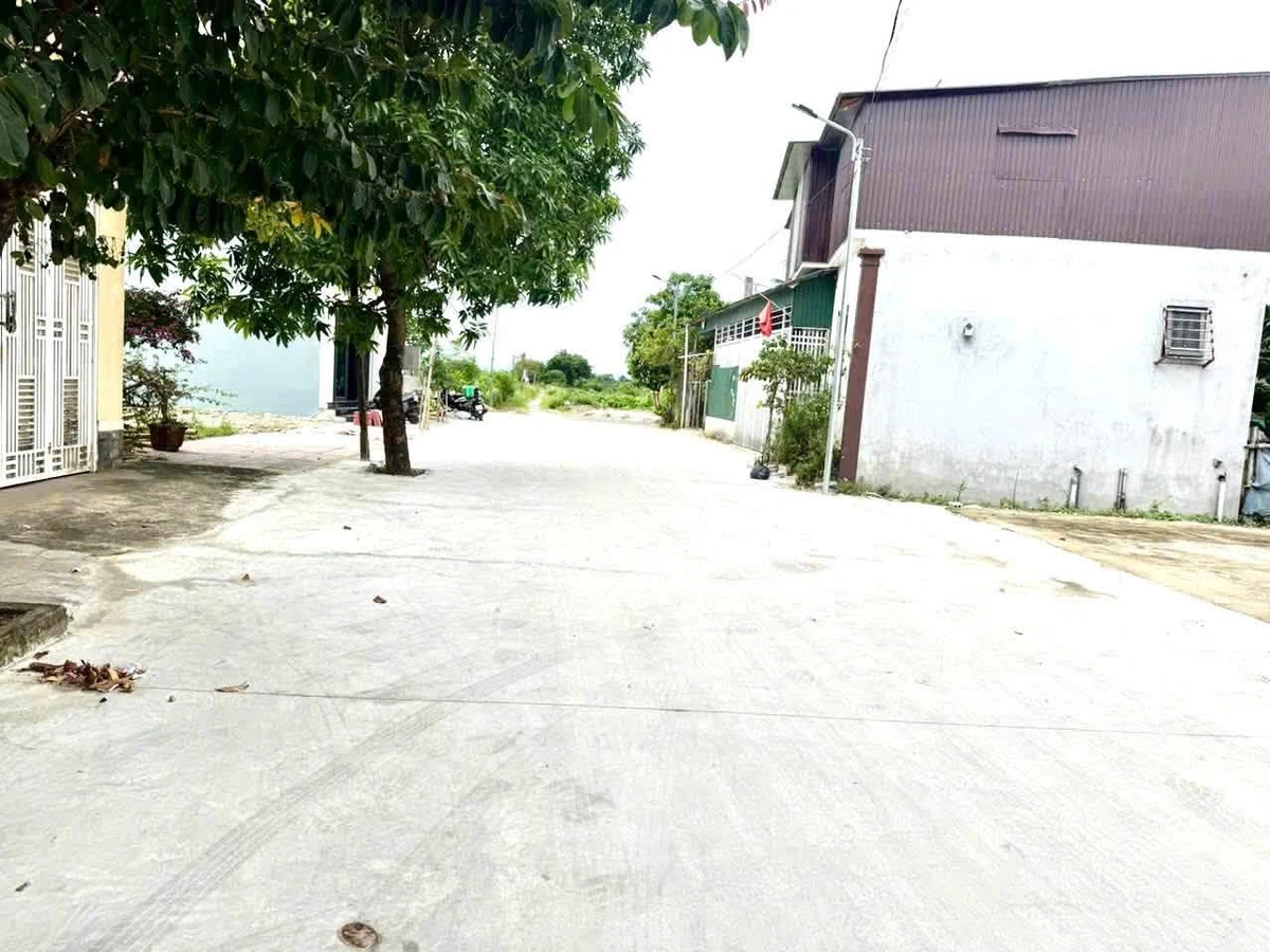 Bán đất mặt đường Trần Đình Phong, Đồng Vĩnh, 83,5m2, giá 2,5 tỷ - Ảnh thu nhỏ 2