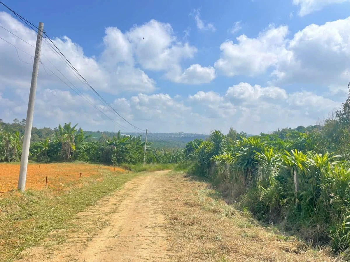 Bán lô đất 133m² view núi và TP Bảo Lộc, Lâm Đồng - Ảnh thu nhỏ 4
