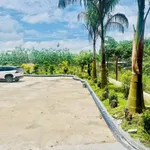 Bán nhà vườn 1800m² An Thái Phú Giáo giá 3 tỷ 5 - Ảnh thu nhỏ 2