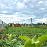 Bán nền đất 400m² Thạnh Lộc Châu Thành, 950 triệu - Ảnh thu nhỏ 2