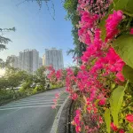 Vốn 450 triệu nhận cam kết cho thuê lại 2 năm, trả góp 12 triệu/ tháng không lãi suất LH 0906 289 *** - Ảnh thu nhỏ 7