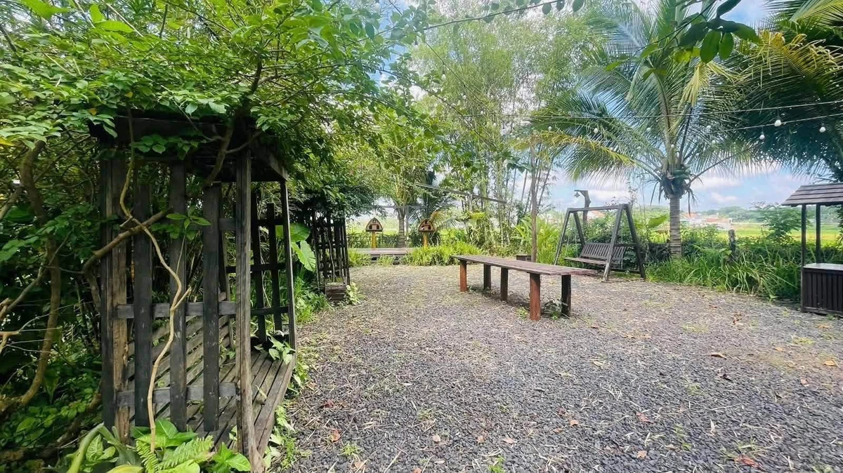 Bán khu homestay 2.320m² Buôn Ma Thuột 9 tỷ 9 - Ảnh thu nhỏ 5