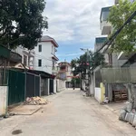Bán lô đất 46.2m² Nhị Châu, Hải Dương, giá 1 tỷ - Ảnh thu nhỏ 2