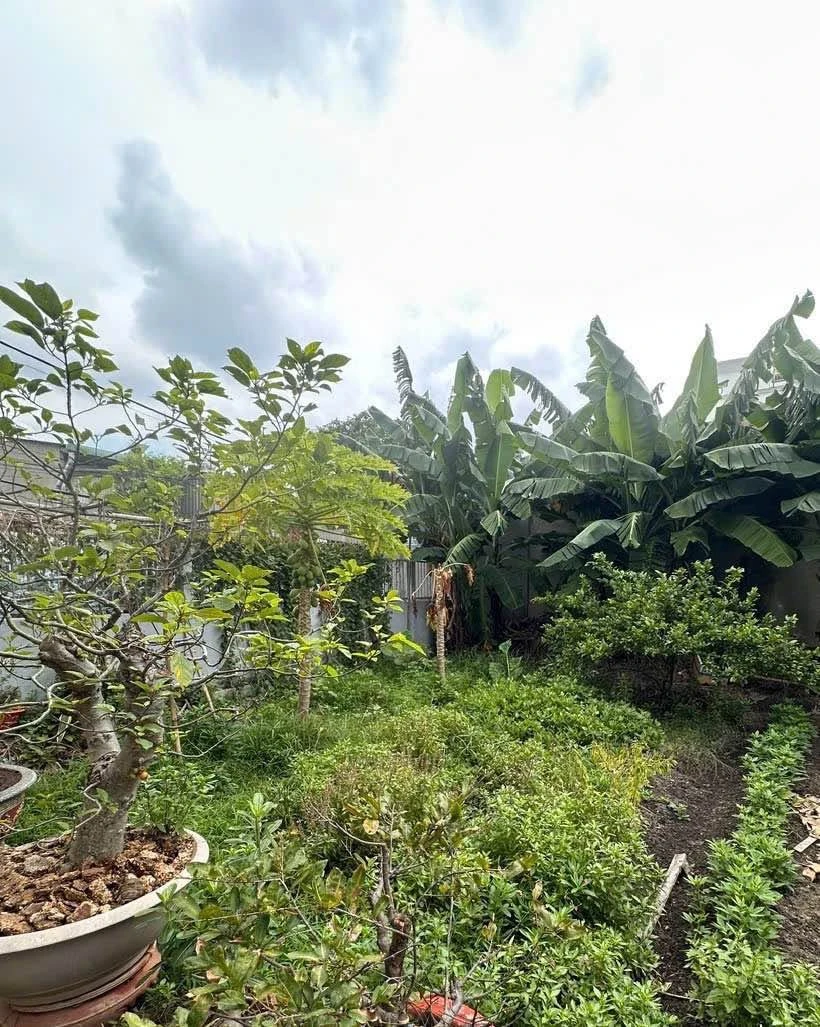 Bán đất Lê Quang Hoà 213.8m2 19.9 tỷ Quận 12 - Ảnh thu nhỏ 5