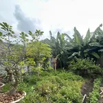 Bán đất Lê Quang Hoà 213.8m2 19.9 tỷ Quận 12 - Ảnh thu nhỏ 5