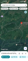20 000 000m2 (2000 ha) rừng sản xuất theo dự án cây lâm nghiệp, dược liệu kết hợp du lịch sinh thái - Ảnh thu nhỏ 4