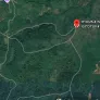20 000 000m2 (2000 ha) rừng sản xuất theo dự án cây lâm nghiệp, dược liệu kết hợp du lịch sinh thái - Ảnh thu nhỏ 4