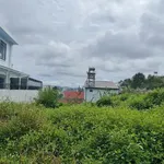 Bán lô đất mặt tiền Đà Lạt 233m² 9,5 tỷ - Ảnh thu nhỏ 4