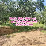 Bán 3 hecta đất Phước Tân, Bình Phước, 720 triệu/ha - Ảnh thu nhỏ 2