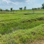 Bán nền đất 5x30m (150m²) 550 triệu Lạc Gì, Lâm Đồng - Ảnh thu nhỏ 2