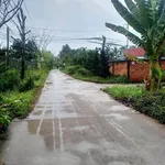 Bán nền đất full thổ cư 174m² Phú An Hòa 550 triệu - Ảnh thu nhỏ 1
